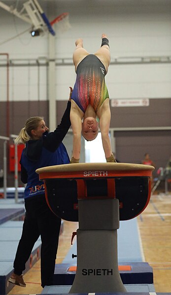 File:2022-10-30 Wase Gymcup WAG Juniors and Seniors apparatus finals warm-up Vault (Martin Rulsch) 12.jpg