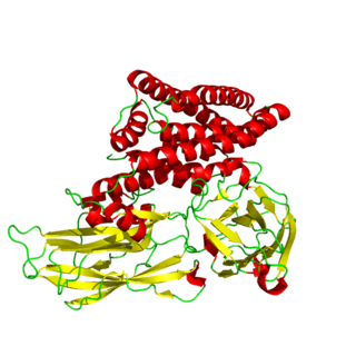 Cry1Ac Crystal protein