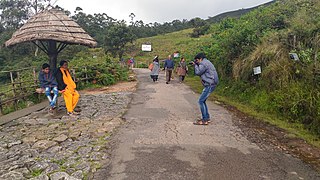 Kaitha Poo Manam, Kerala, India