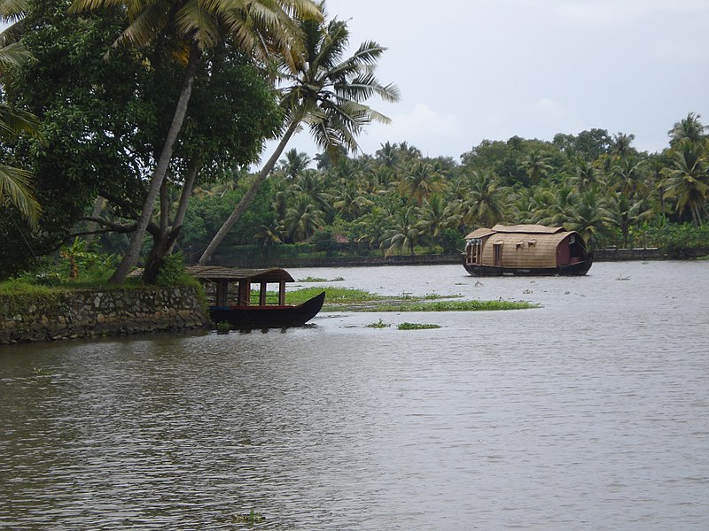 File:A Voyage Through The Backwaters - Alappuzha, Kerala.jpg