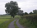 Access road to Cheswell Grange - geograph.org.uk - 832481.jpg