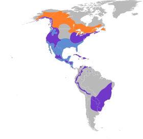 Accipiter striatus map.svg