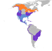 Accipiter striatus map.svg