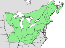 Acer saccharum range map Acer saccharum range map.png