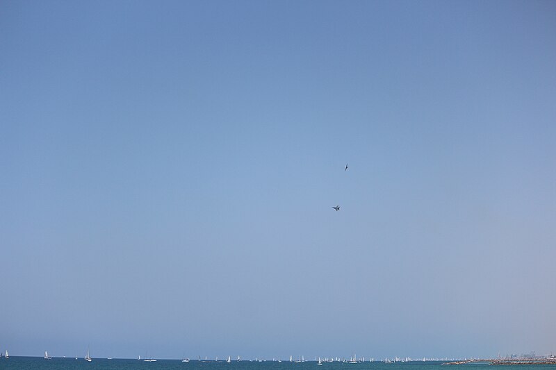 File:Air Force Fly By on Tel Aviv Beach 2018 IMG 7483.JPG