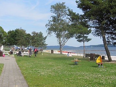 Sådan kommer du til Albuen Strand med offentlig transport – Om stedet