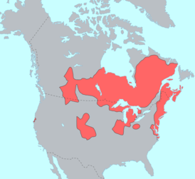 Территория распространения алгонкинских языков