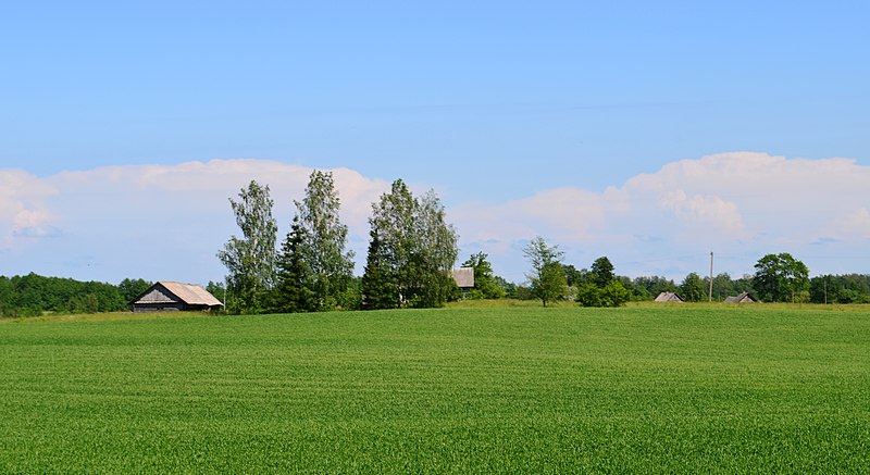 File:Alksnaičio viensėdis.JPG