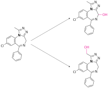 Alprazolam metabolized into 4-hydroxyalprazolam (top) and a-hydroxyalprazolam (bottom) Alprazolam metabolism.svg