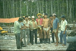 Amazon Jungle in Lagunas District Peru 07.jpg