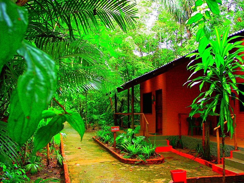 File:Amazon rainforest jungle resort - panoramio.jpg