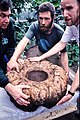erraboila, 117 kg (Bonn)