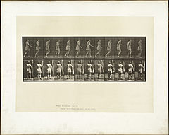 Animal locomotion. Plate 543 (Boston Public Library).jpg