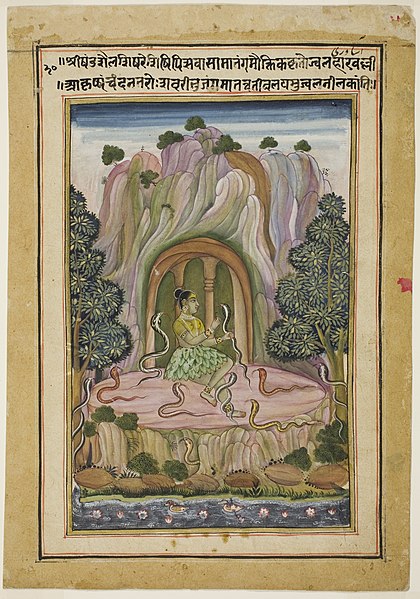 File:Anonymous - Asavari Ragini, A Female Yogini (Page from a Ragamala Set) - 1919.955 - Art Institute of Chicago.jpg