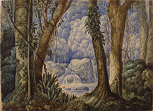 Araujo Porto-Alegre: Brazilian Jungle, Julio de Castilhos Museum Araujo10.jpg