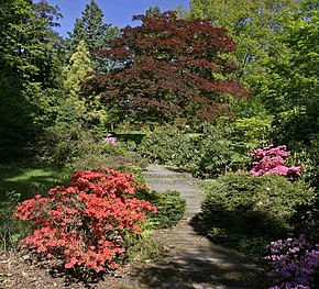 Arboretum Nový Dvůr - areál 2.jpg