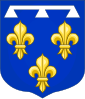 Coat of arms of Orléans