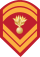 Army-GRE-OR-06a.svg