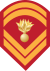 Insignia of a permanent Hellenic army sergeant.