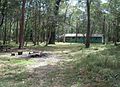 Au-Q-Eprapah Kiwi campground.jpg