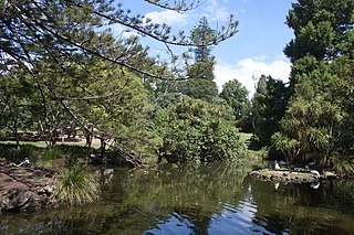 Auckland Domain