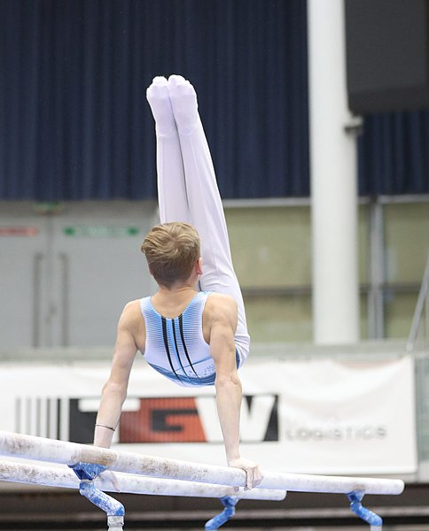 File:Austrian Future Cup 2018-11-23 Training Afternoon Parallel bars (Martin Rulsch) 0747.jpg