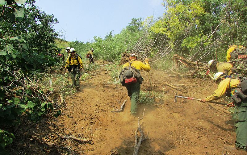 File:BLM Firefighters at House Creek Fire (14155532956).jpg