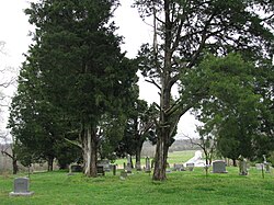 Bakerville Friedhof