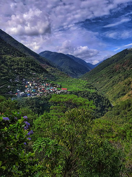 File:Bayyo Rice Terraces(1).jpg