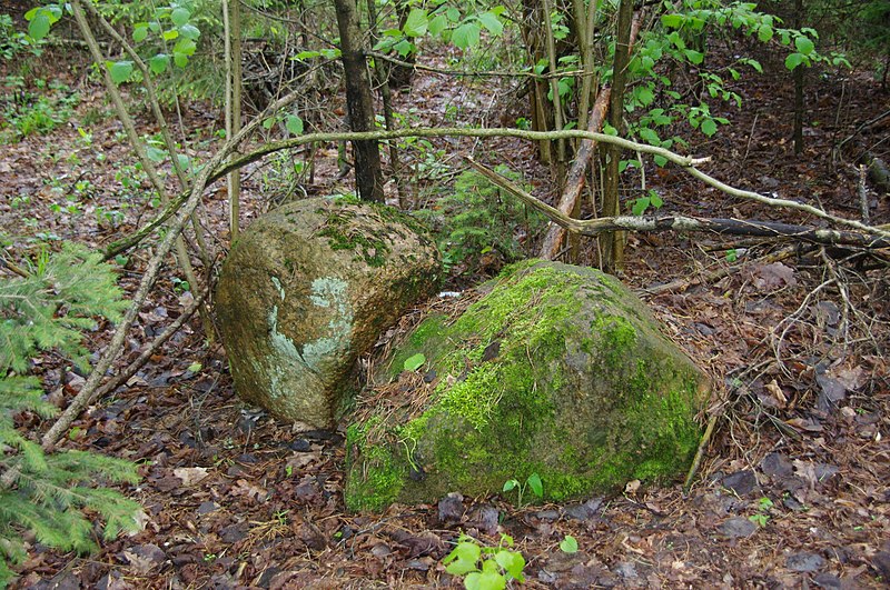 File:Belarus, Naroch - panoramio (102).jpg