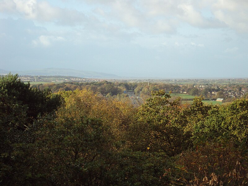 File:Bidston Hill - DSC04356.JPG