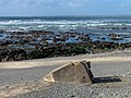 Blockhaus du Palud Pellan, qui faisait partie du Mur de l'Atlantique