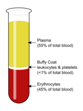 Blood components after centrifugation Blood-centrifugation-scheme.png