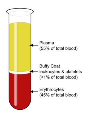 Blood-centrifugation-scheme.png