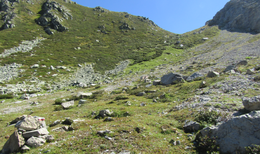 Muștiucul Brignola NW view.png