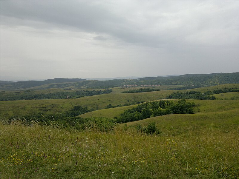 File:Borús nyár - panoramio.jpg