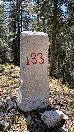 133 (plus de photos)