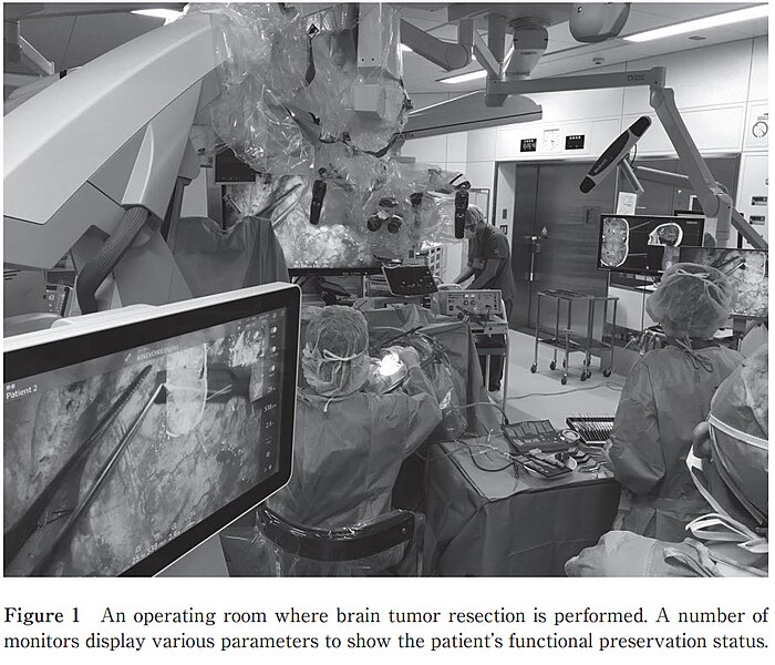 File:Brain tumor resection in Japan.jpg