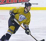 Brendan Witt was drafted by Washington in the 1993 NHL Draft and played for the Capitals from 1996 to 2004. Brendan Witt - Nashville Predators.jpg