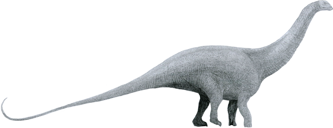 Brontosaurus