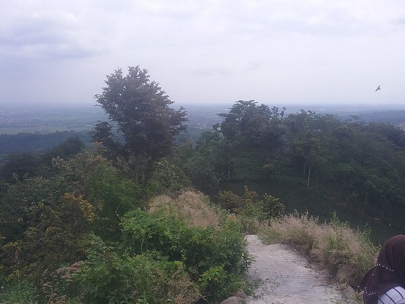 File:Bukit Dermasuci.jpg