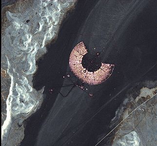 Imatge de satèl·lit de Black Rock City presa des del satèl·lit TerraSAR-X l'any 2011