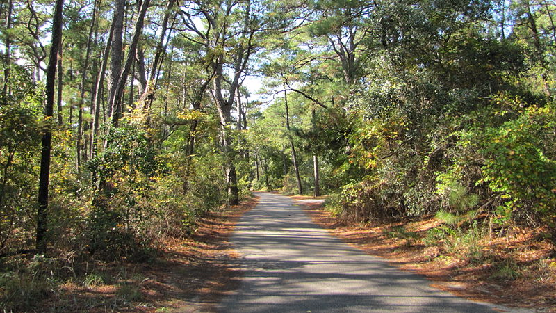 File:Cabin road (6105921979).jpg