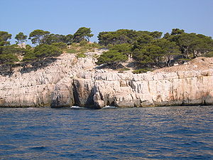 Calanques Marseille Cassis 27.JPG