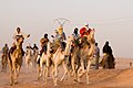 Camel Race Algeria Desert Animal Track Riding.jpg
