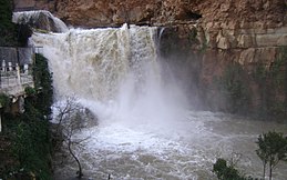 Quartier de Tlemcen - Vue