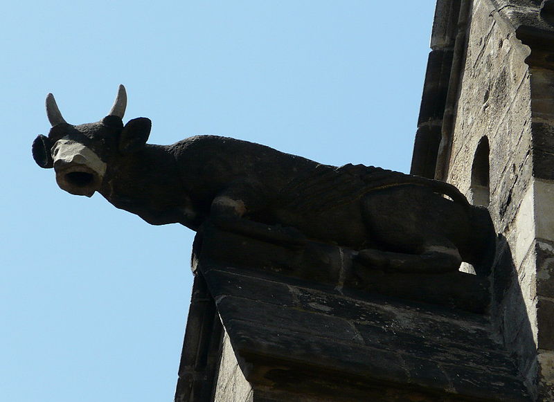 File:Catedral de Barcelona - gàrgola bou.jpg