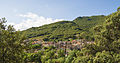 Ceps, Roquebrun, Hérault 08.jpg