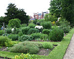 Jardín medicinal de Chelsea