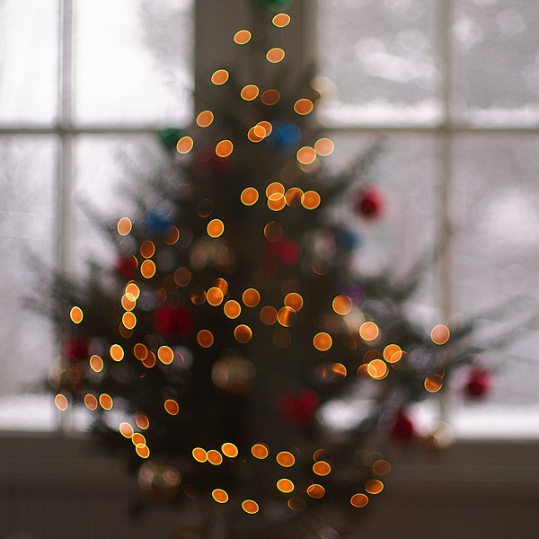 File:Christmas Tree Lights (5325889736).jpg